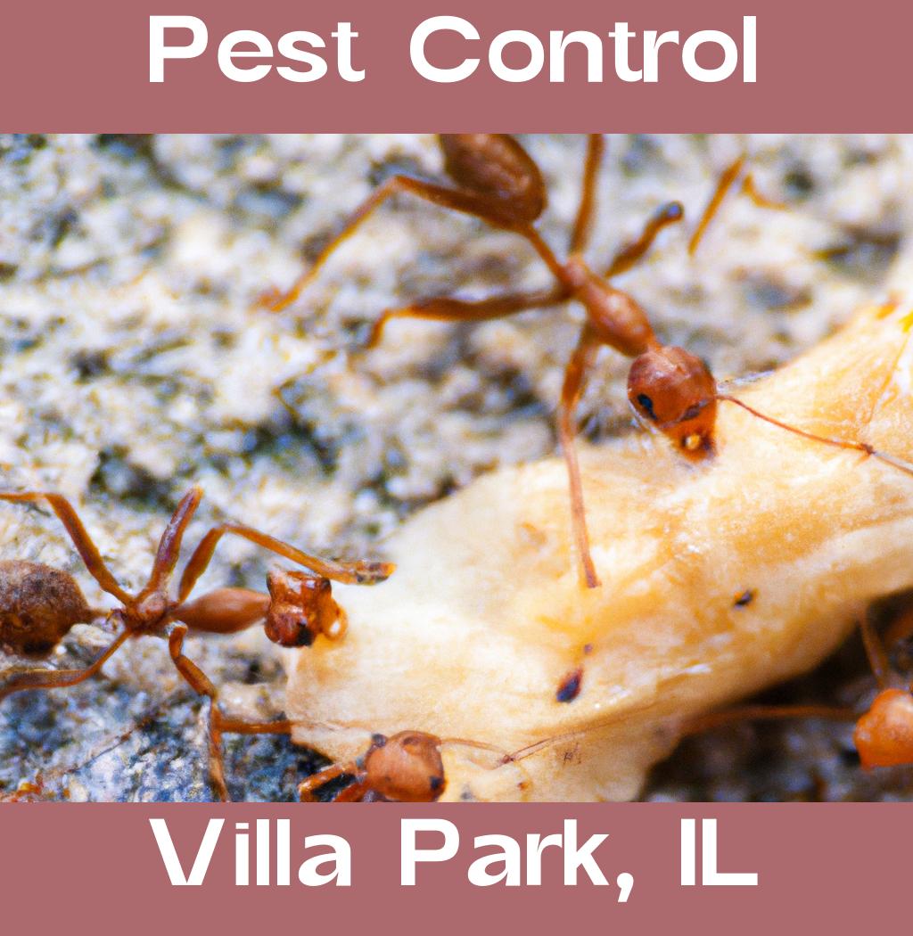 pest control in Villa Park Illinois