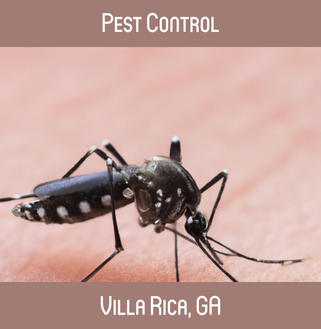 pest control in Villa Rica Georgia