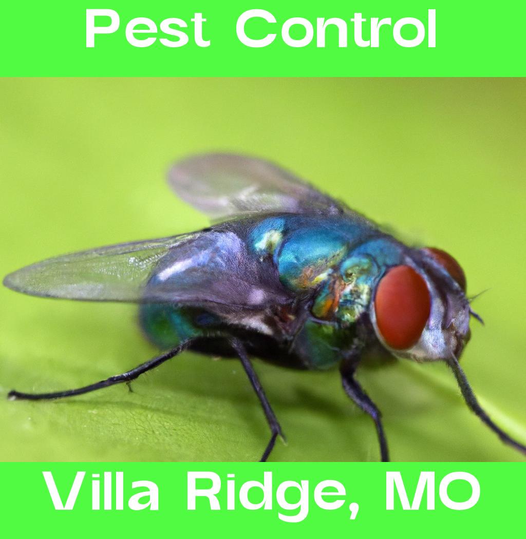 pest control in Villa Ridge Missouri