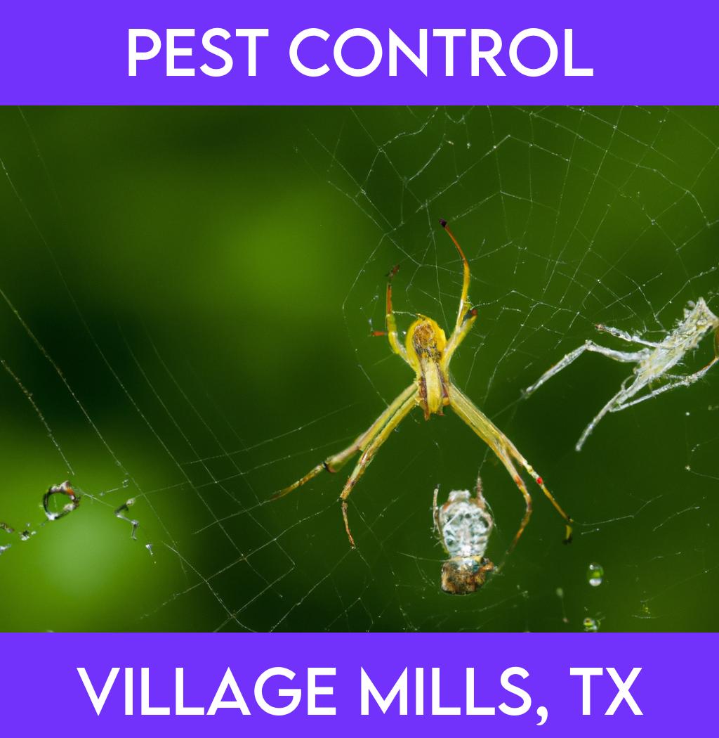 pest control in Village Mills Texas