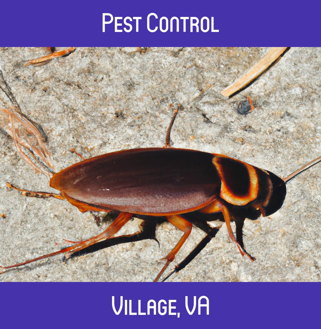 pest control in Village Virginia