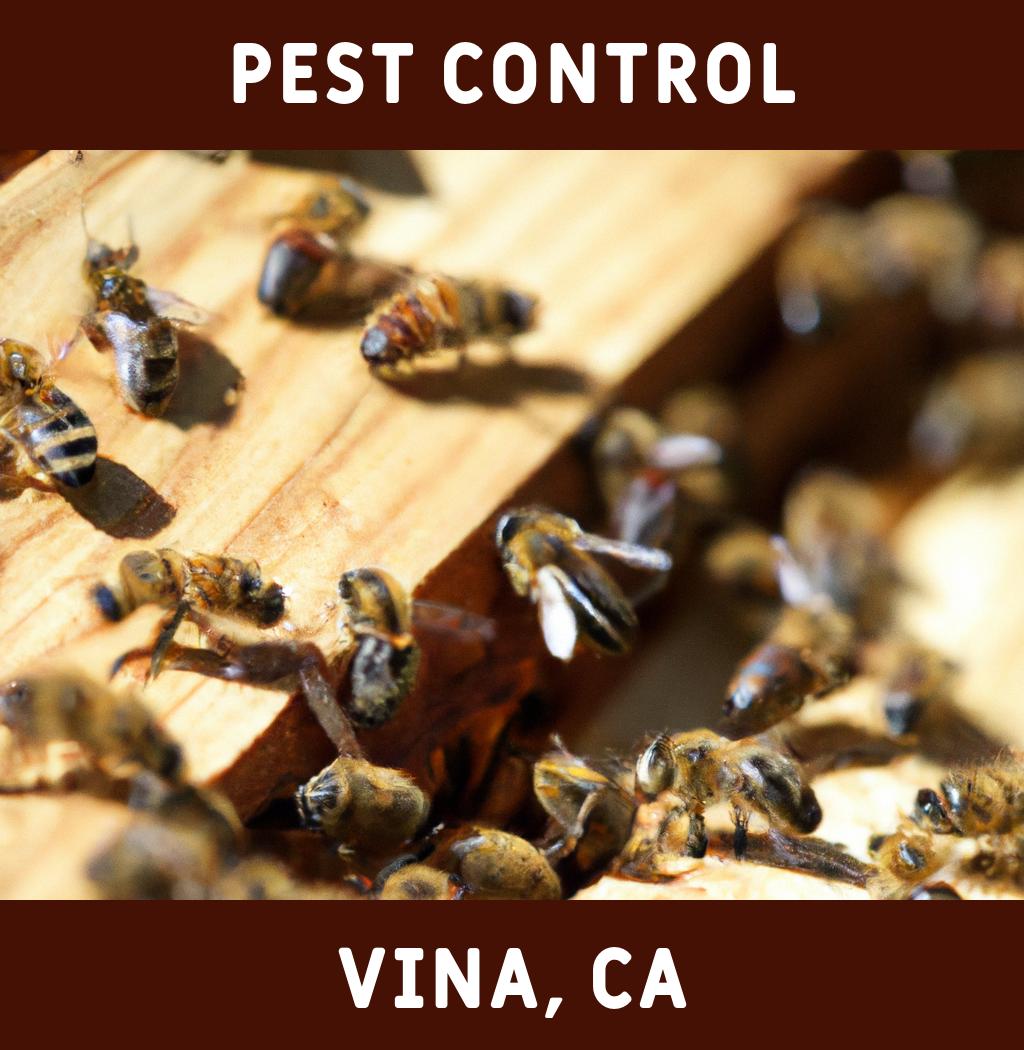 pest control in Vina California