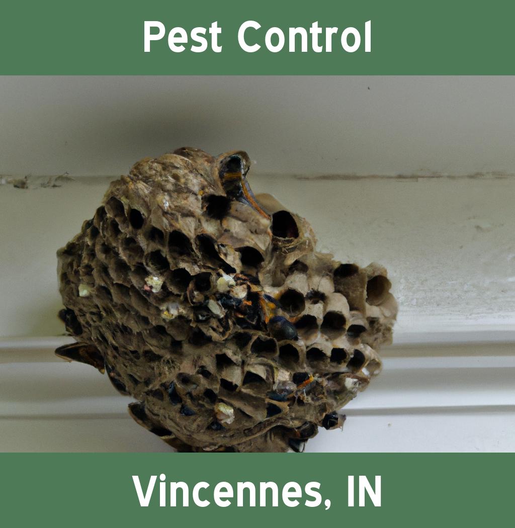pest control in Vincennes Indiana
