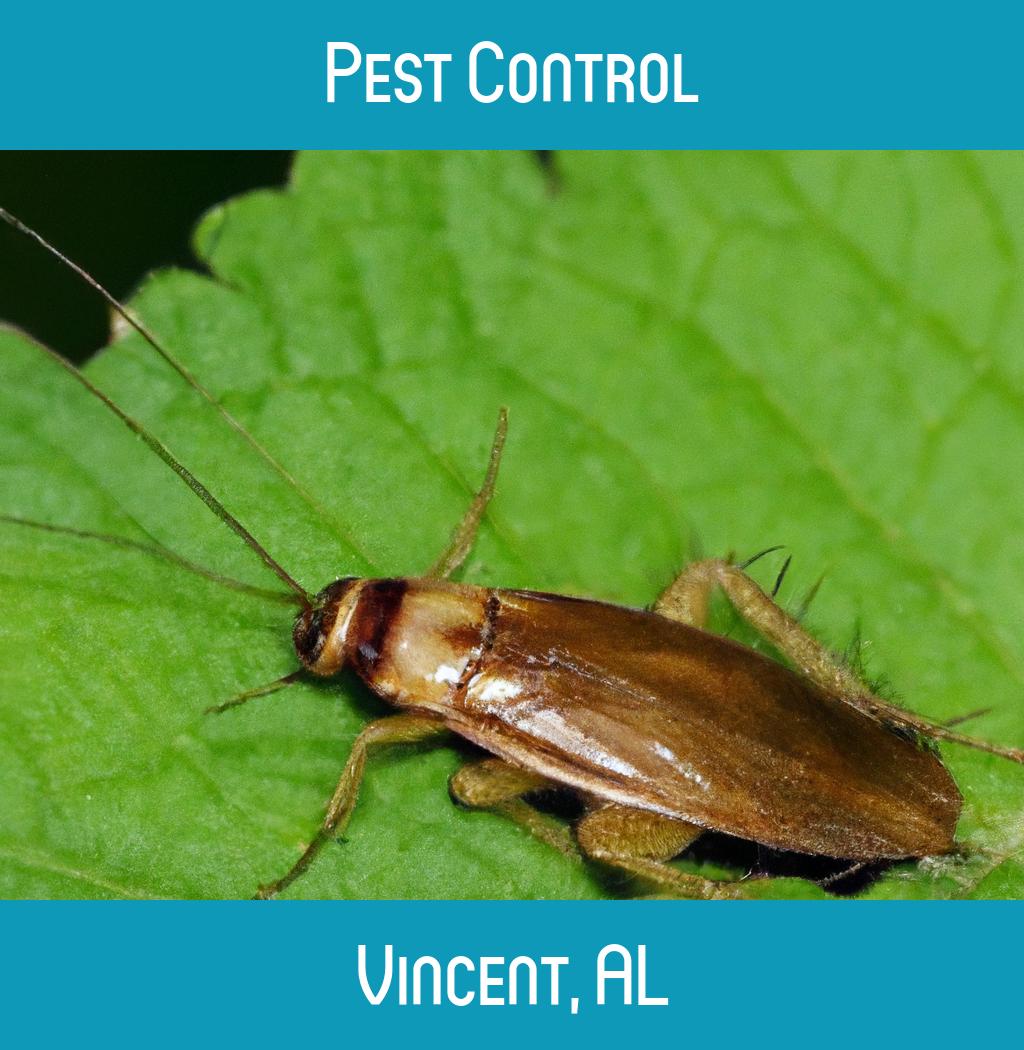 pest control in Vincent Alabama