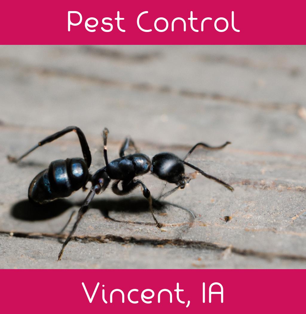 pest control in Vincent Iowa