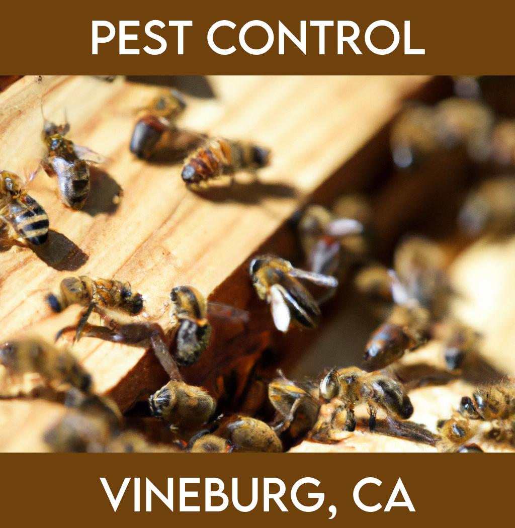 pest control in Vineburg California