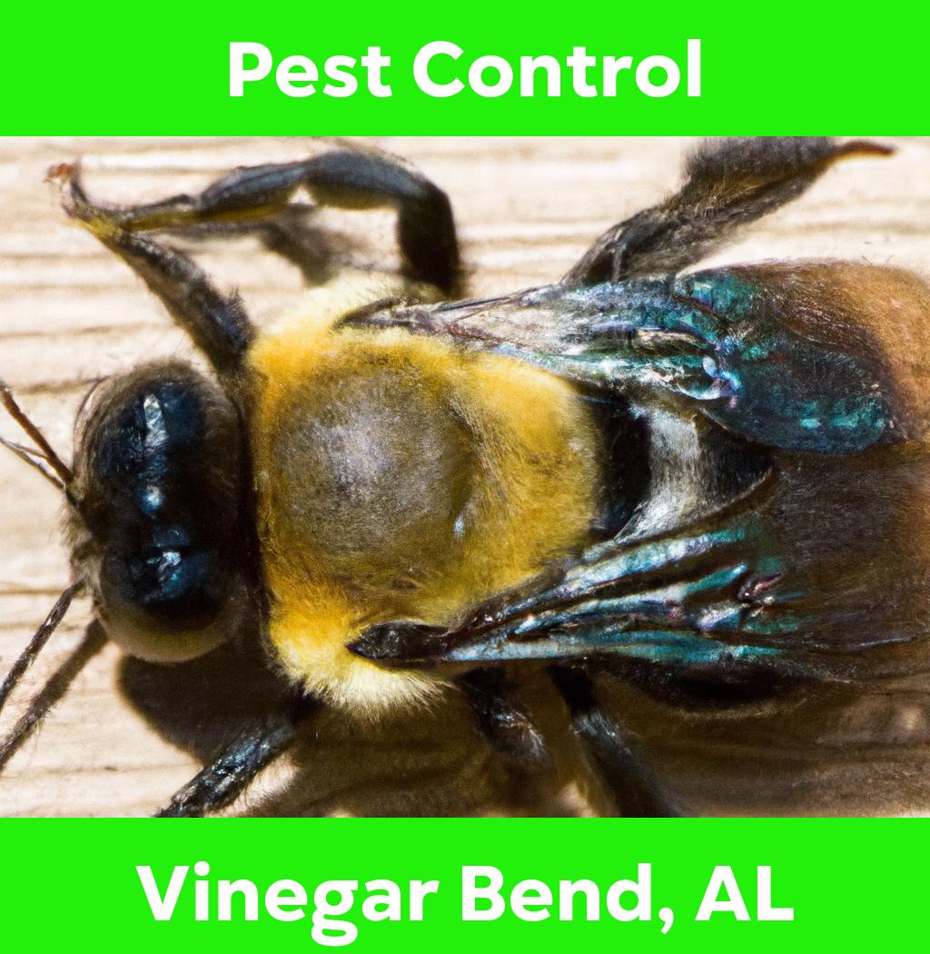 pest control in Vinegar Bend Alabama
