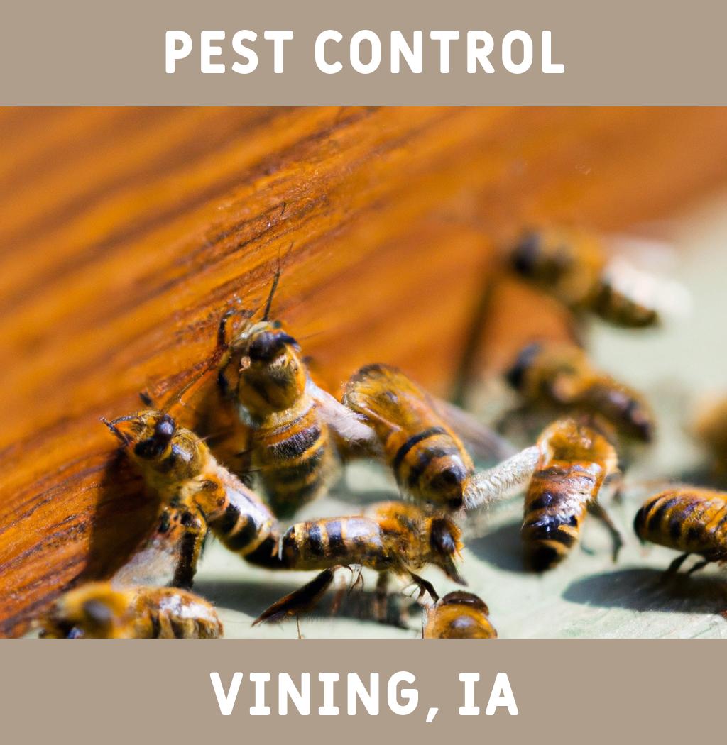 pest control in Vining Iowa