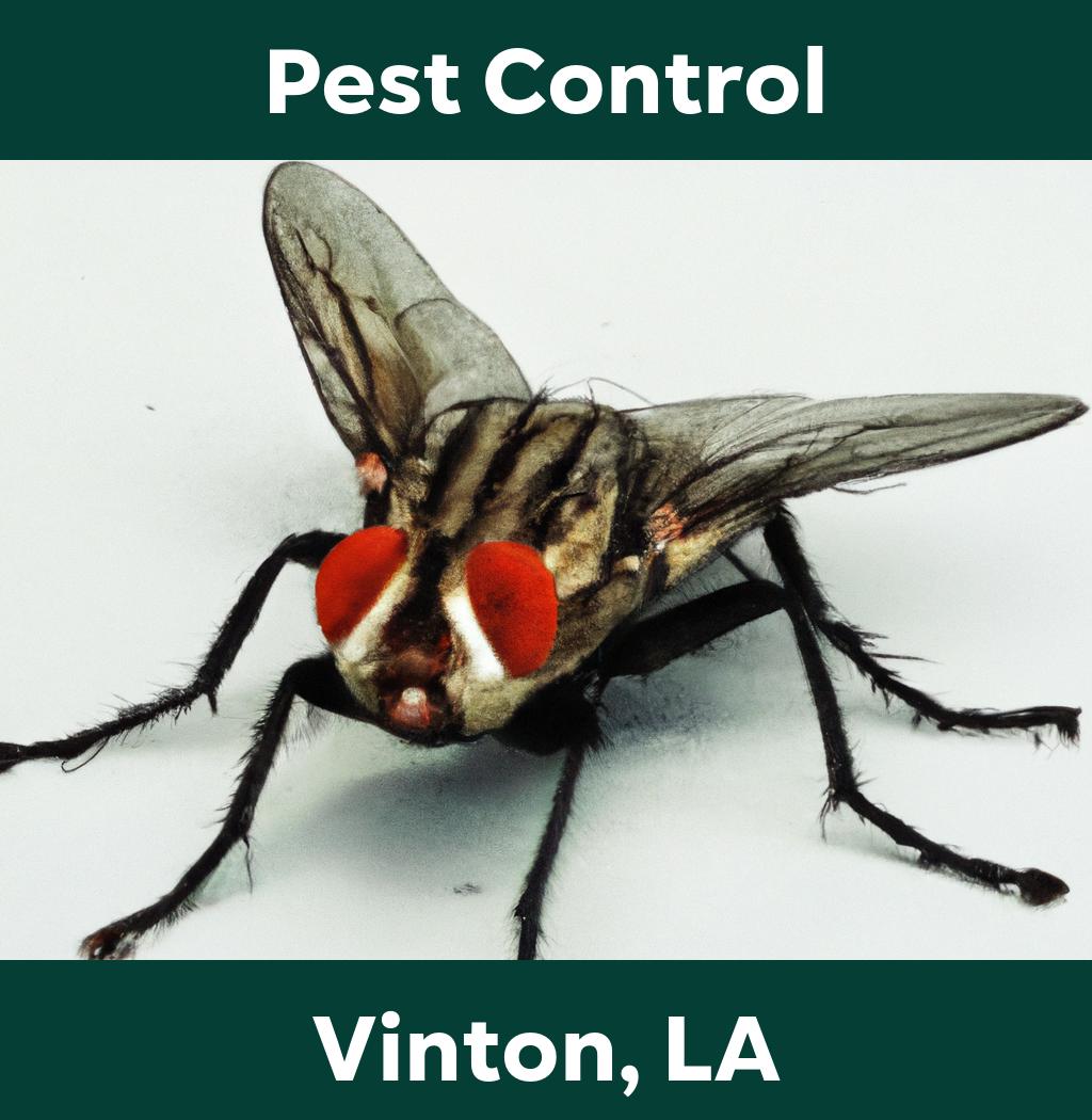 pest control in Vinton Louisiana