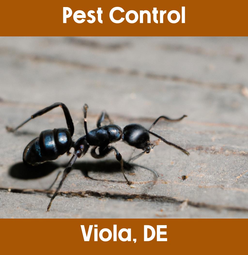 pest control in Viola Delaware