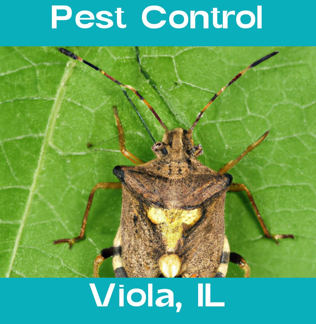 pest control in Viola Illinois