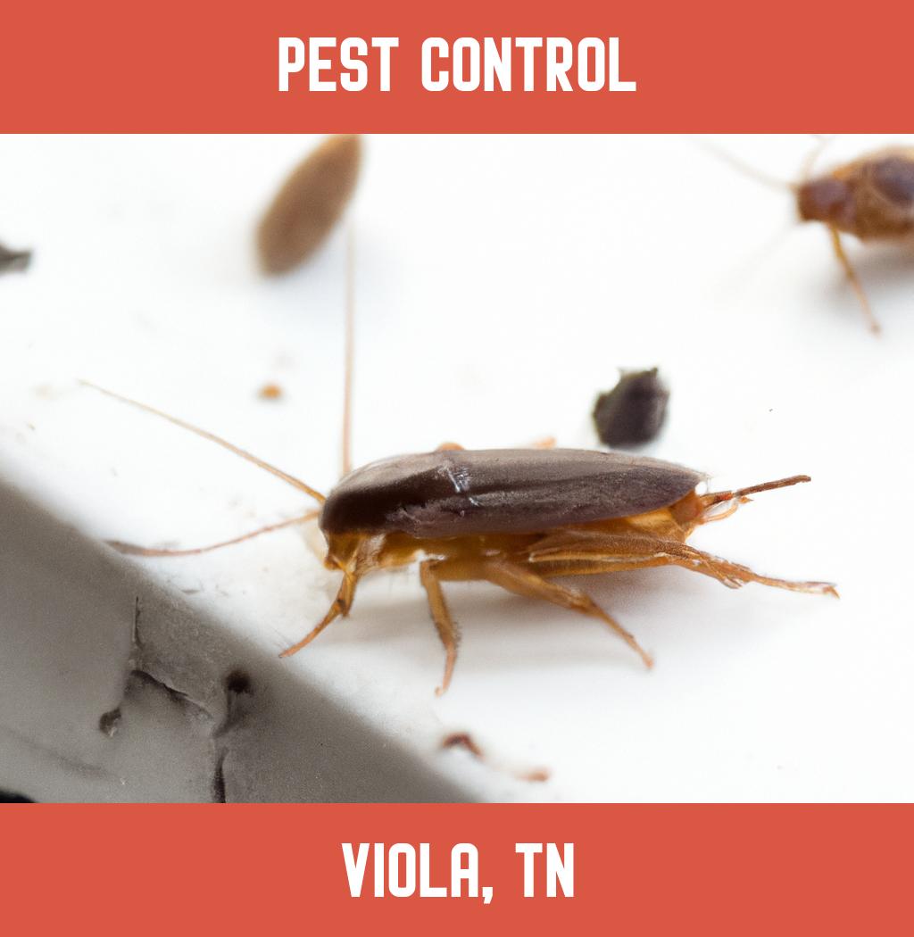 pest control in Viola Tennessee