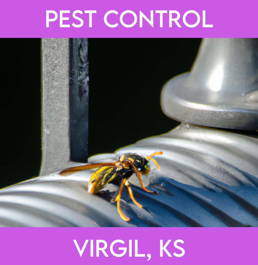 pest control in Virgil Kansas
