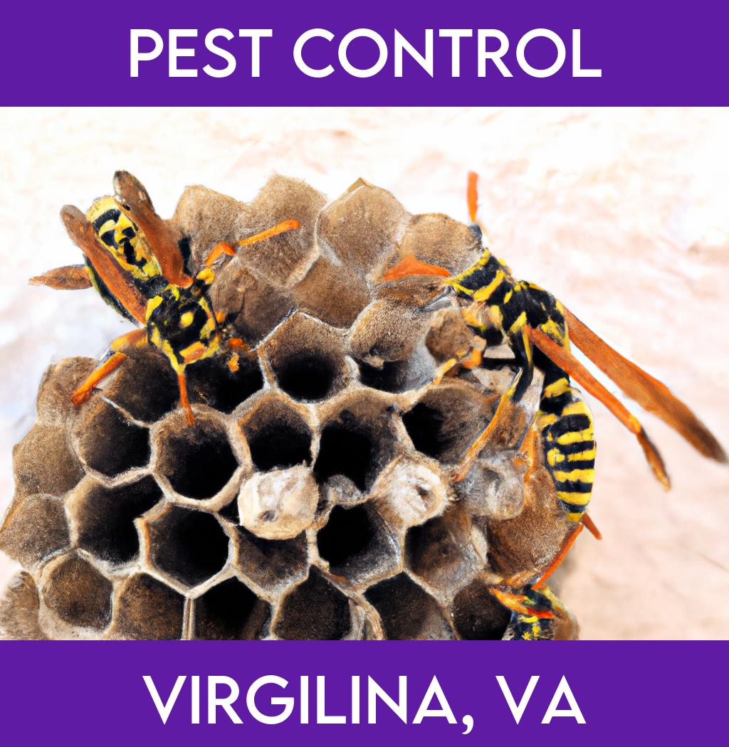 pest control in Virgilina Virginia