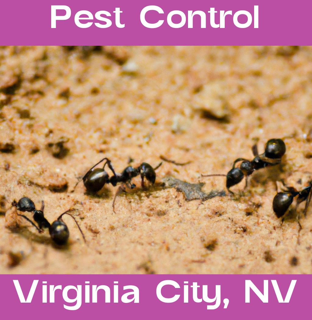 pest control in Virginia City Nevada
