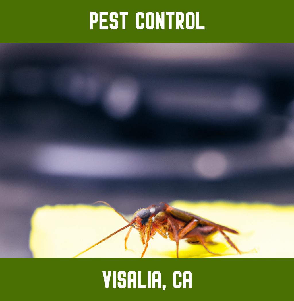 pest control in Visalia California