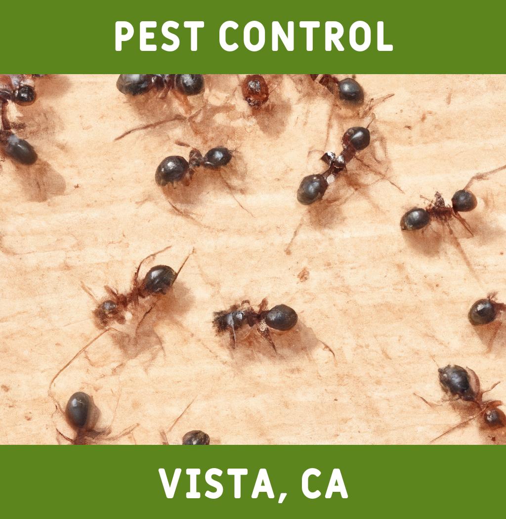 pest control in Vista California
