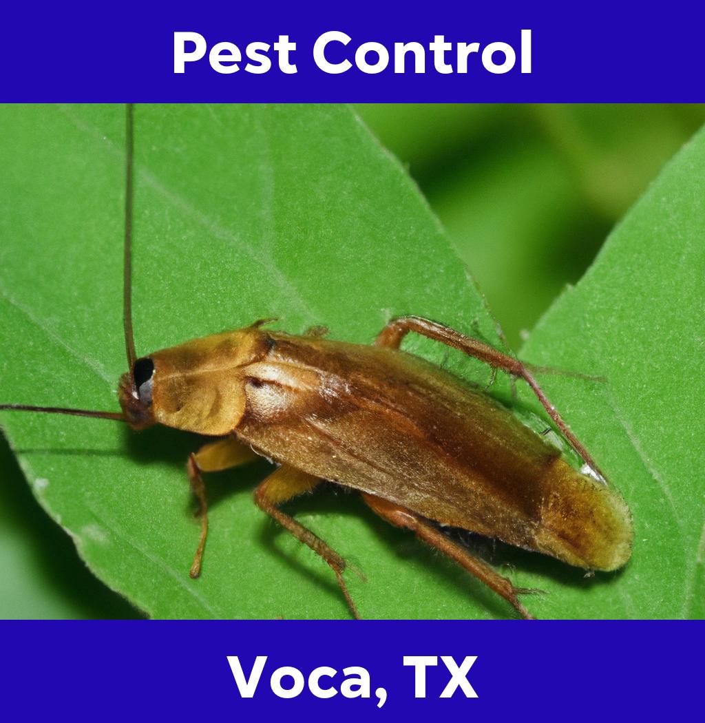 pest control in Voca Texas