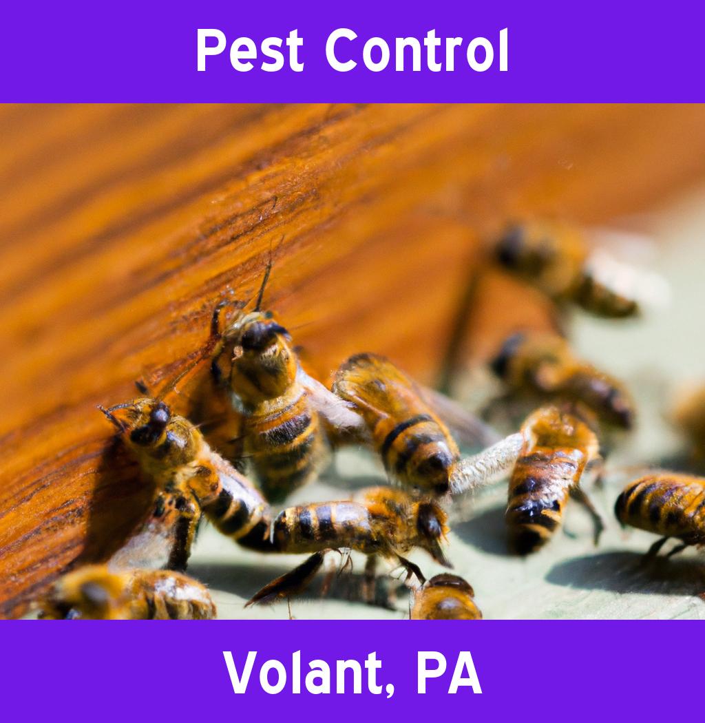 pest control in Volant Pennsylvania