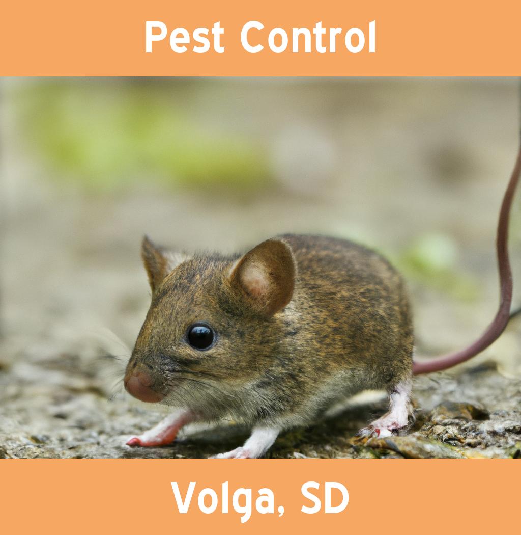 pest control in Volga South Dakota