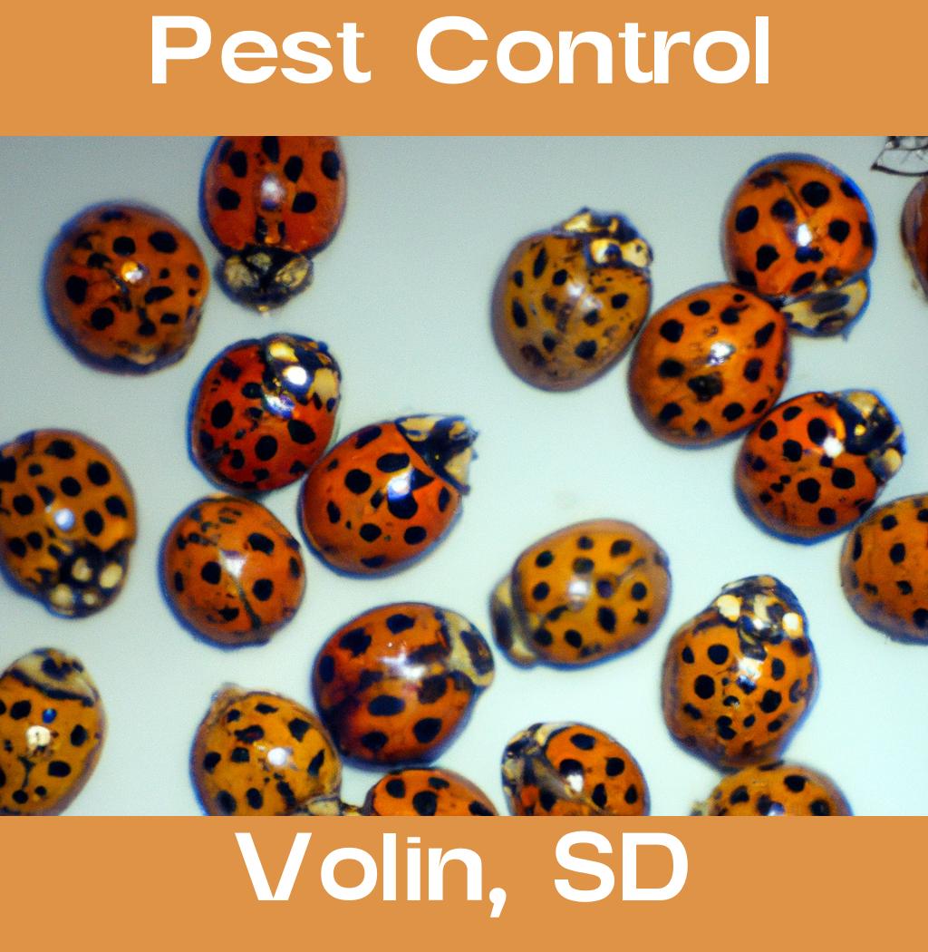pest control in Volin South Dakota