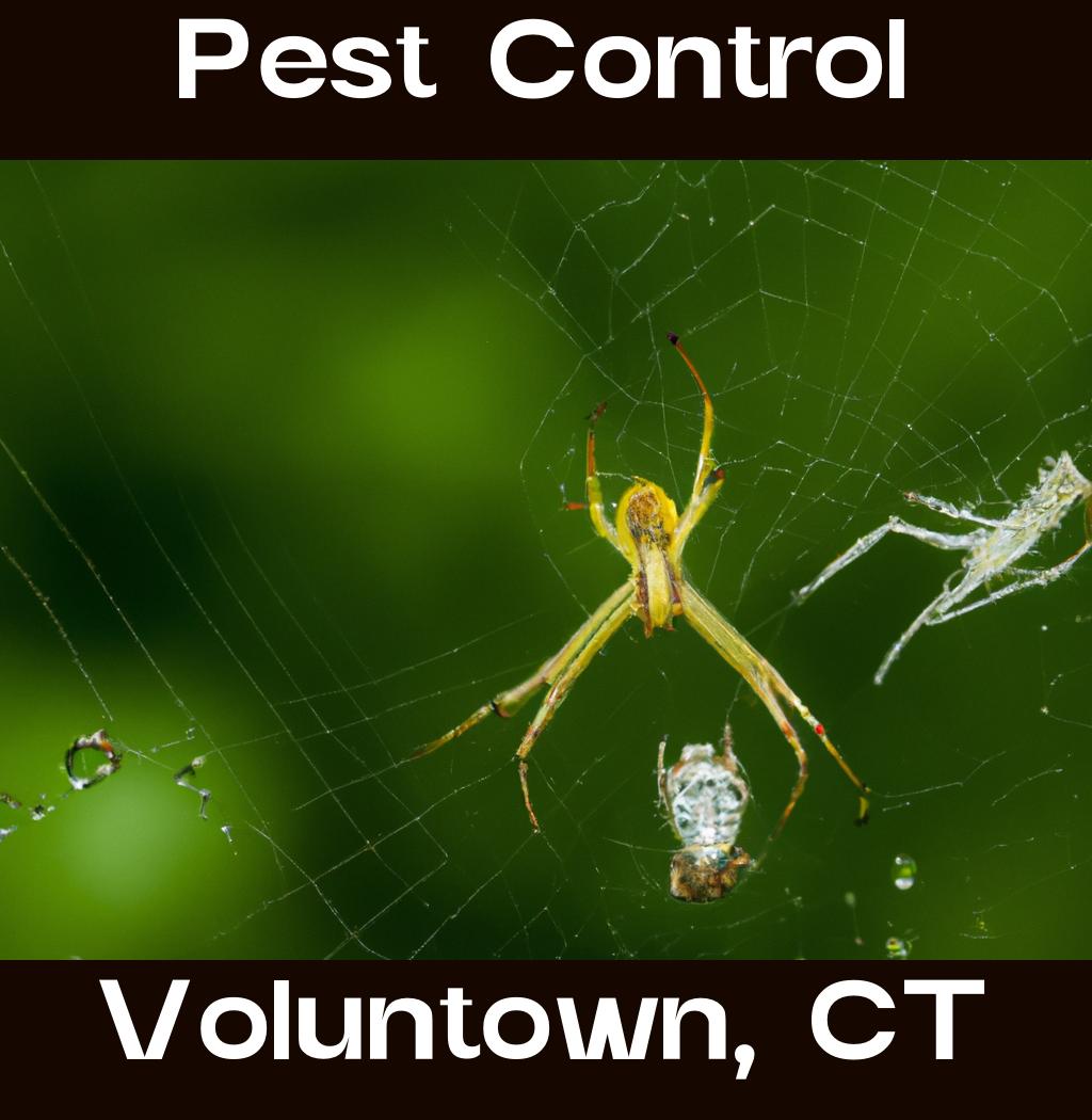 pest control in Voluntown Connecticut
