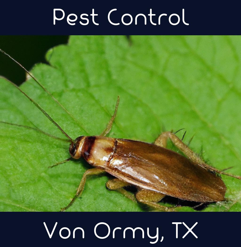pest control in Von Ormy Texas