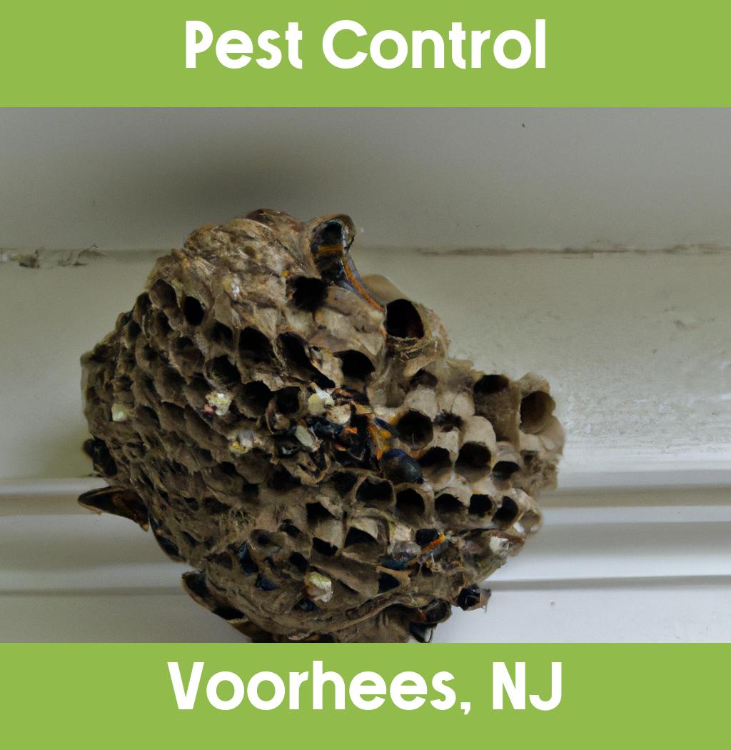pest control in Voorhees New Jersey