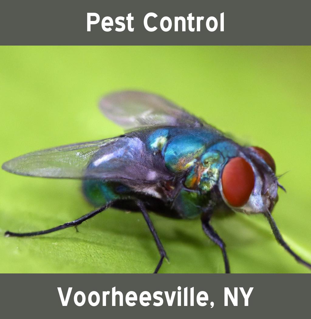 pest control in Voorheesville New York