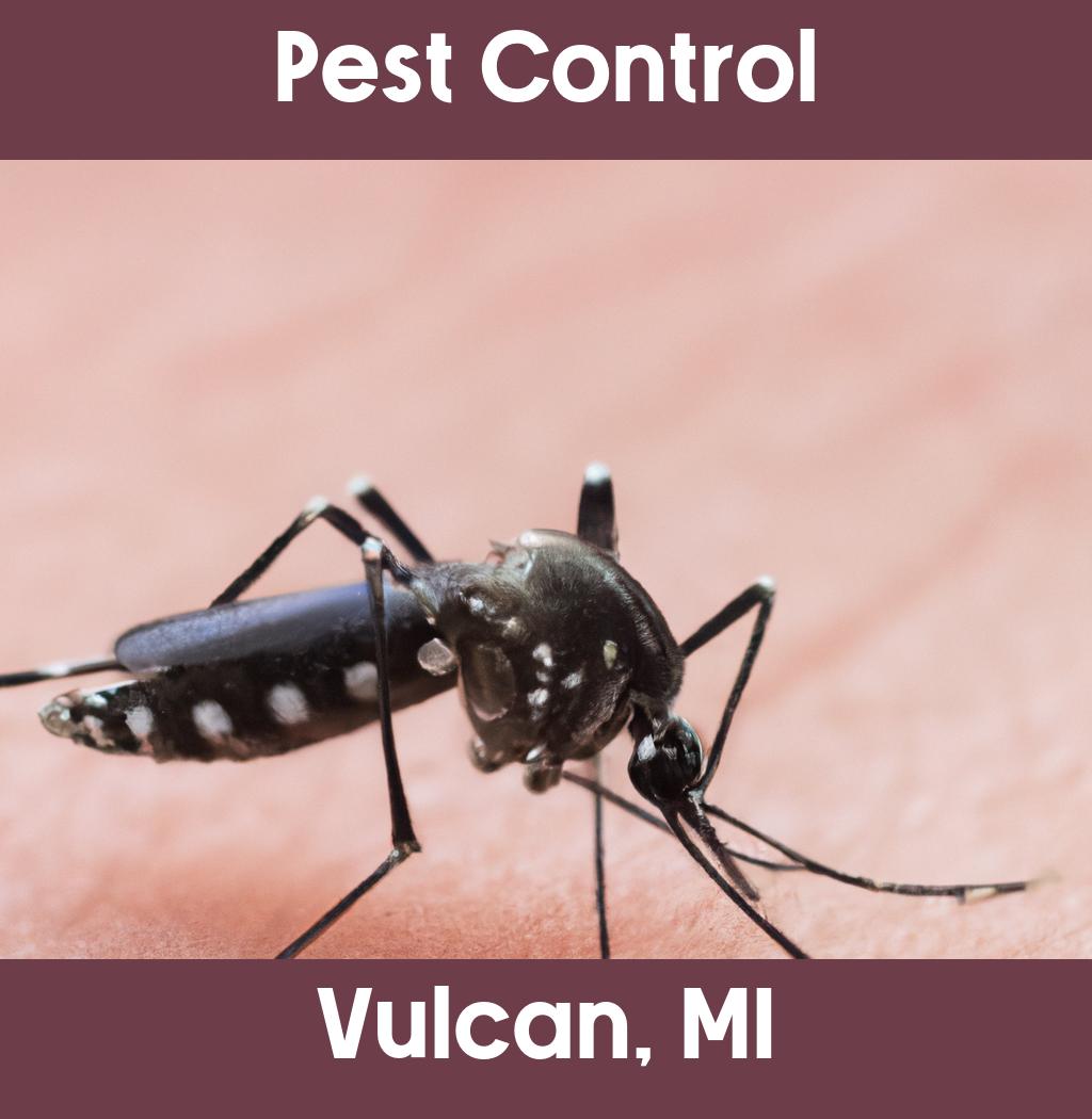 pest control in Vulcan Michigan