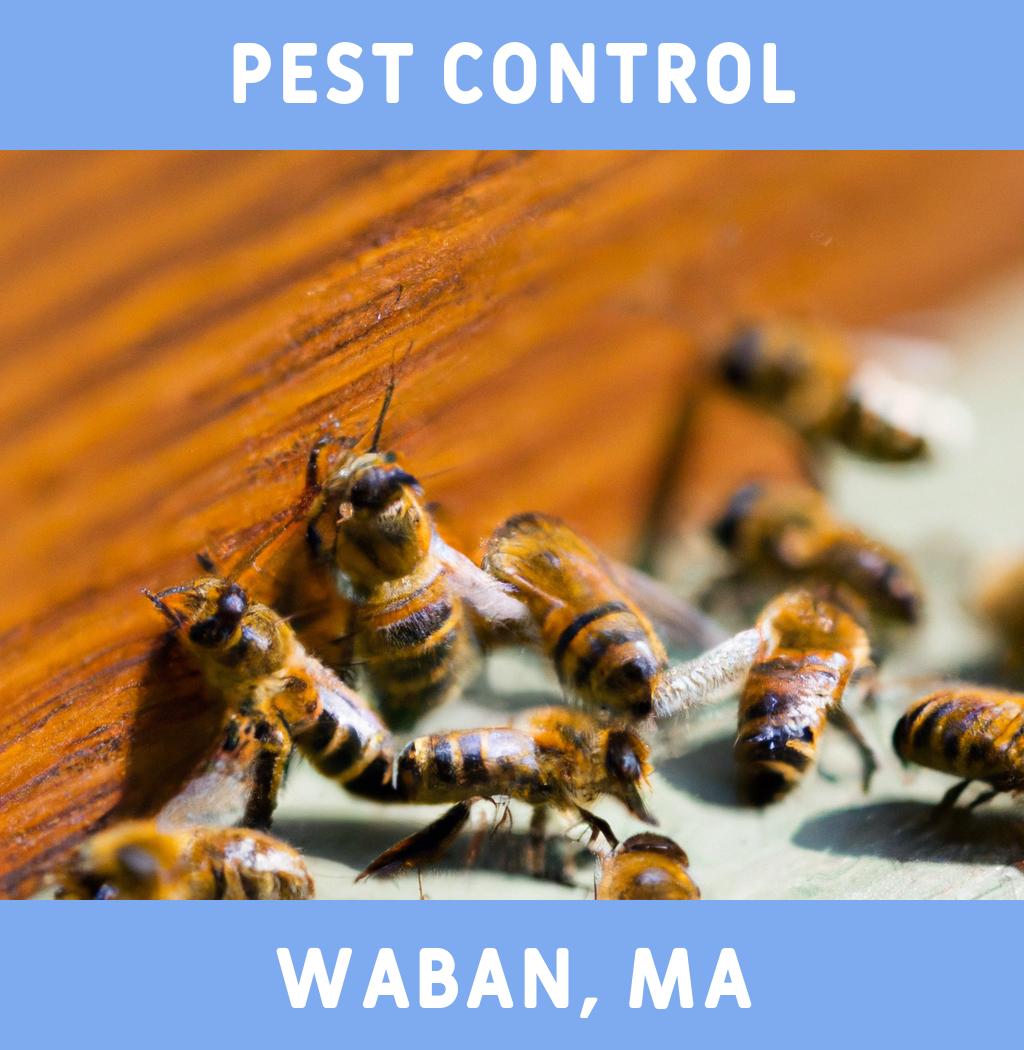 pest control in Waban Massachusetts