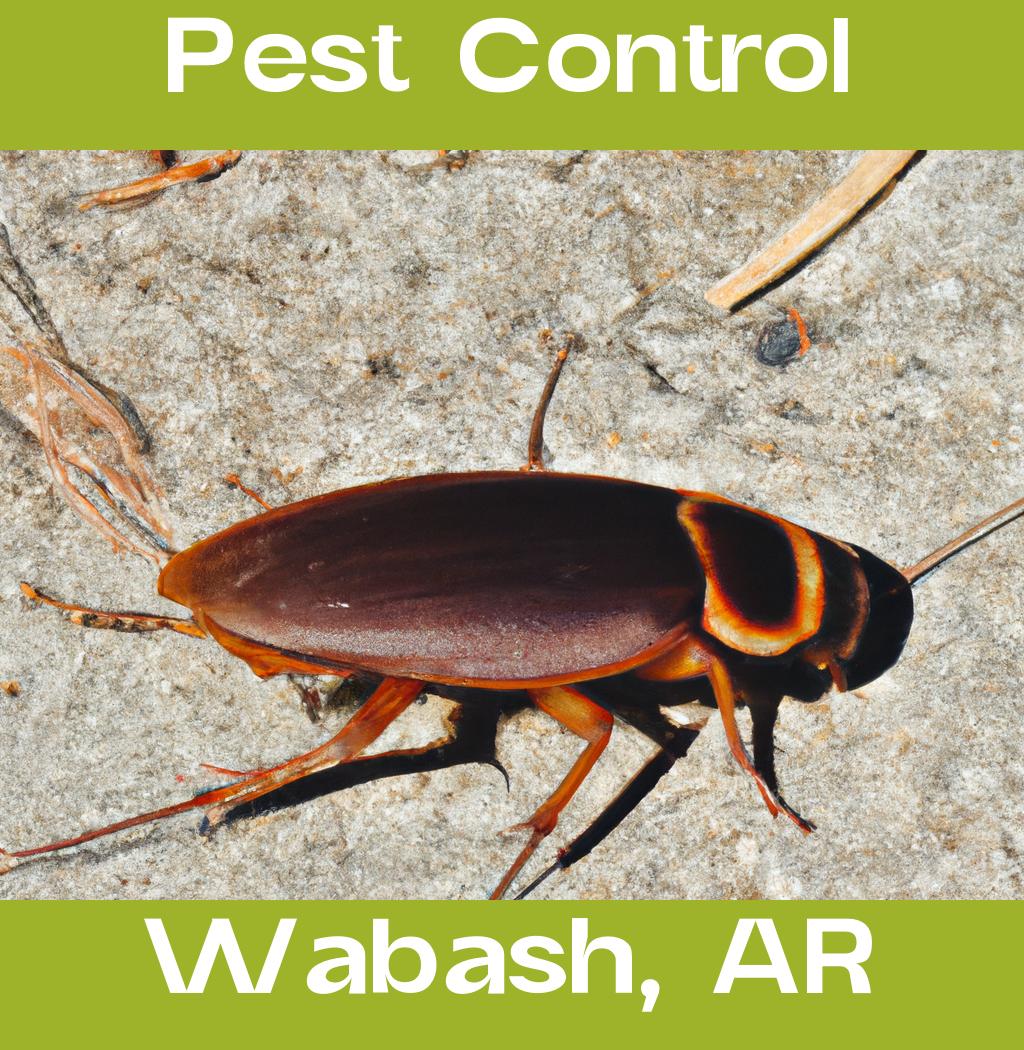 pest control in Wabash Arkansas
