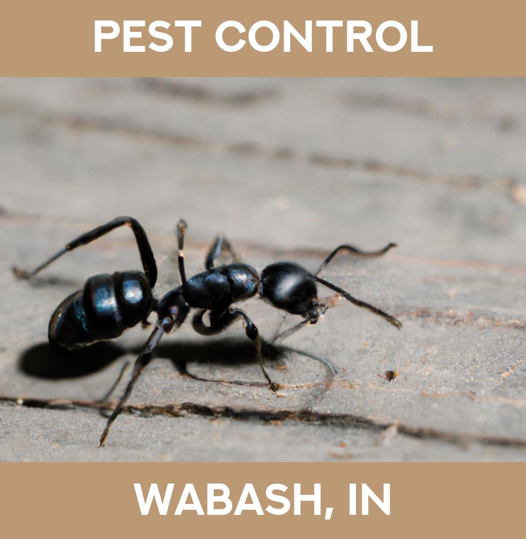 pest control in Wabash Indiana