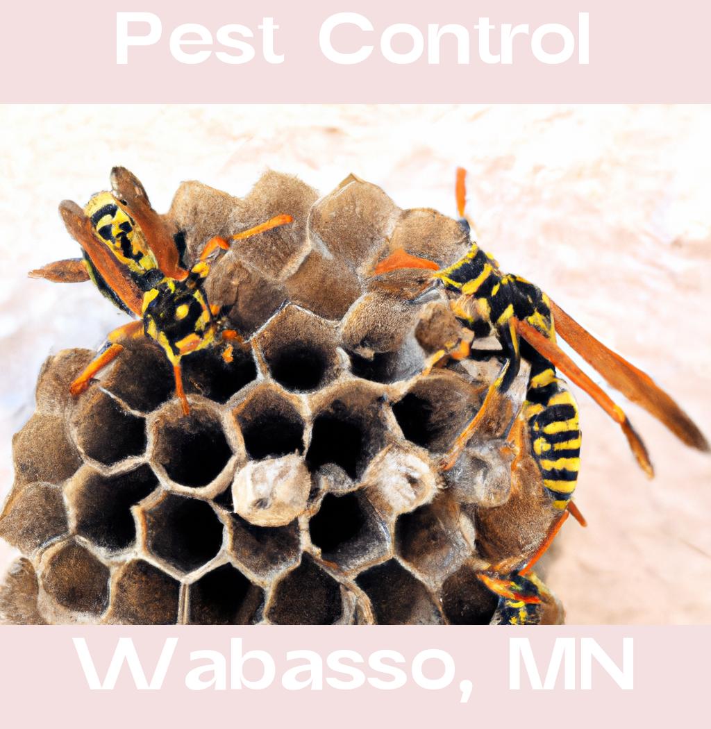 pest control in Wabasso Minnesota