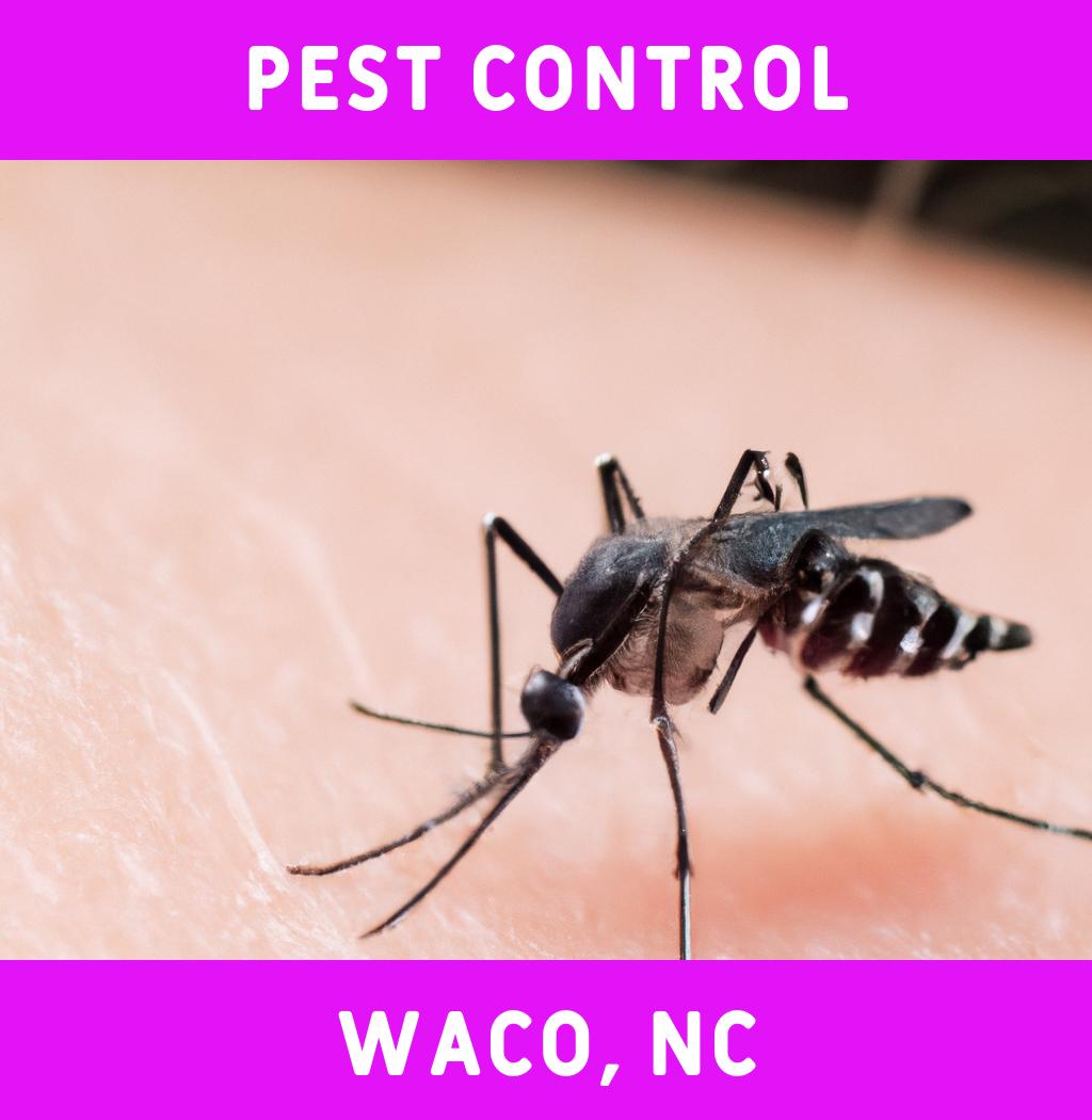pest control in Waco North Carolina