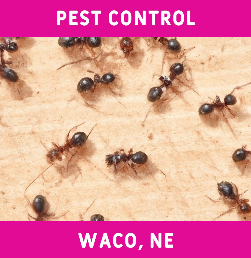 pest control in Waco Nebraska