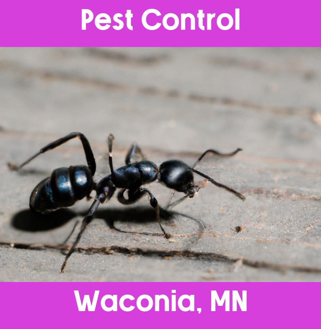 pest control in Waconia Minnesota