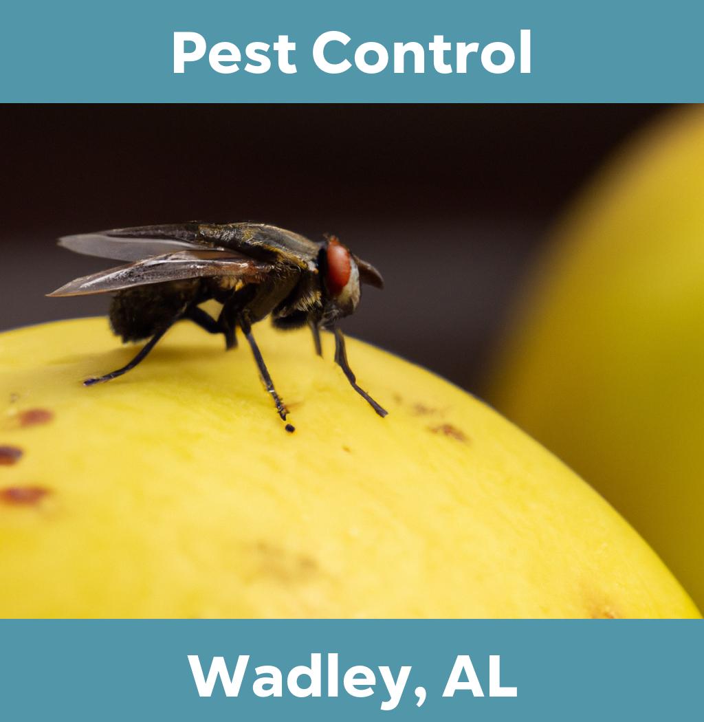 pest control in Wadley Alabama