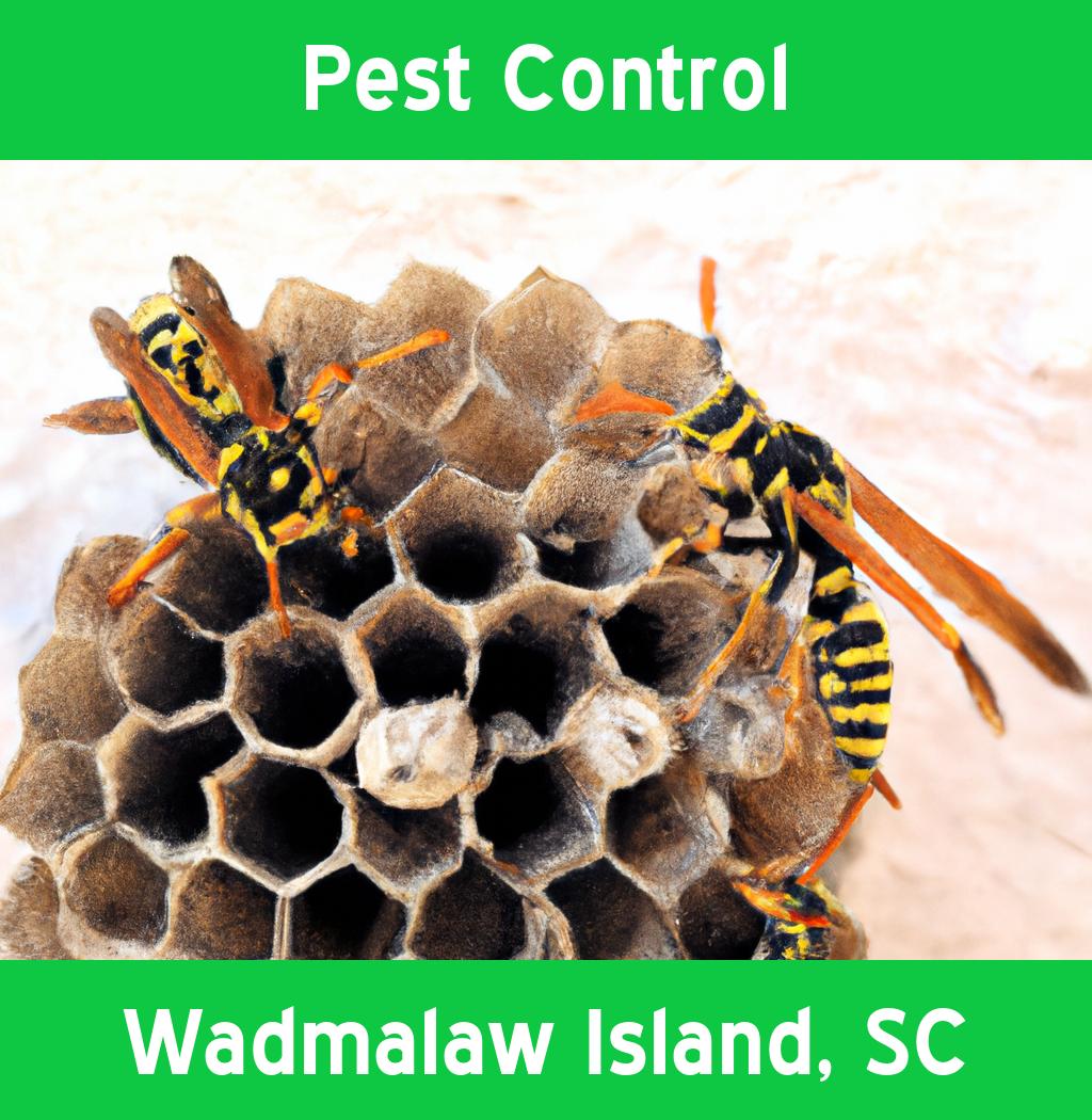 pest control in Wadmalaw Island South Carolina