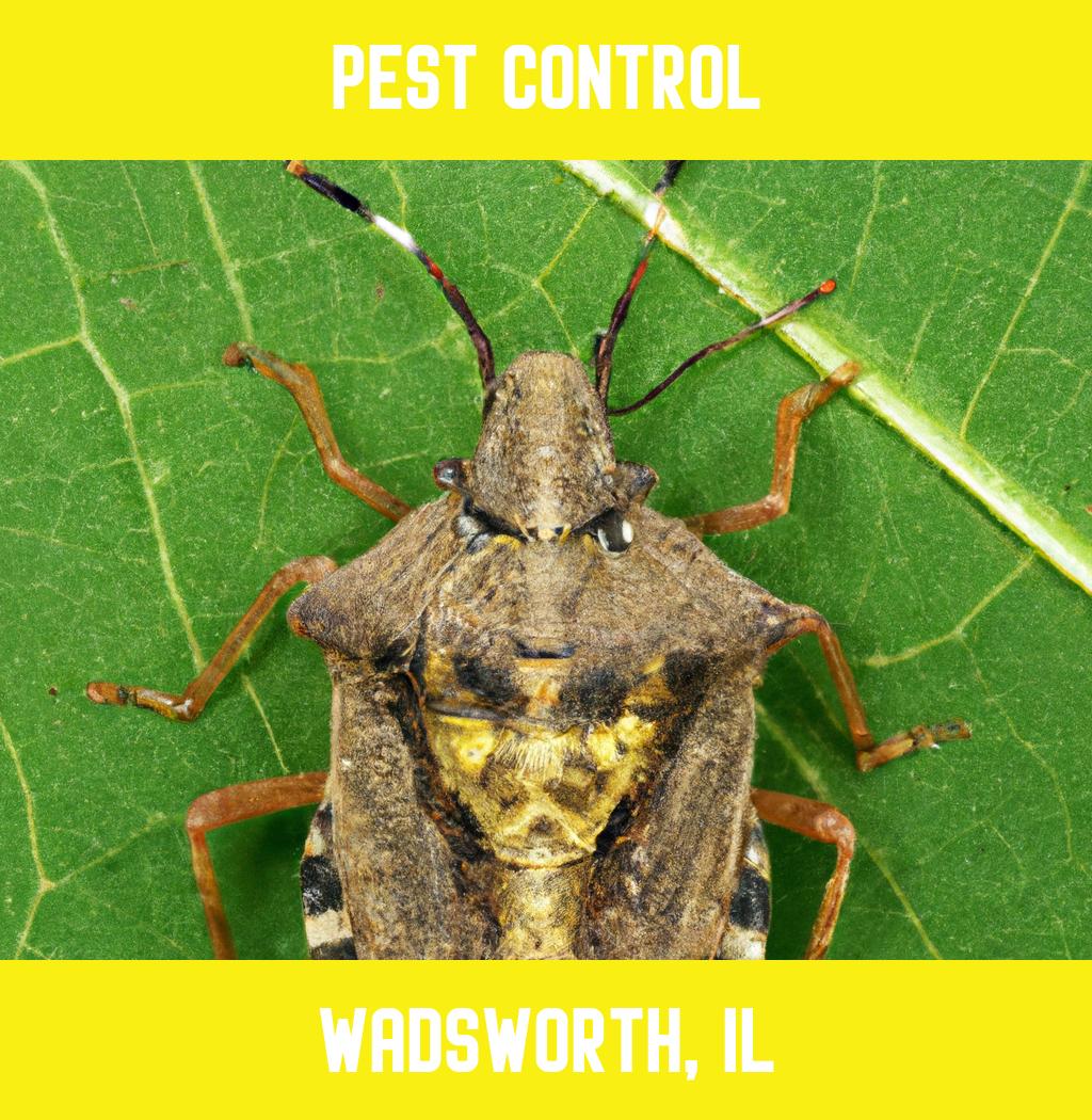 pest control in Wadsworth Illinois