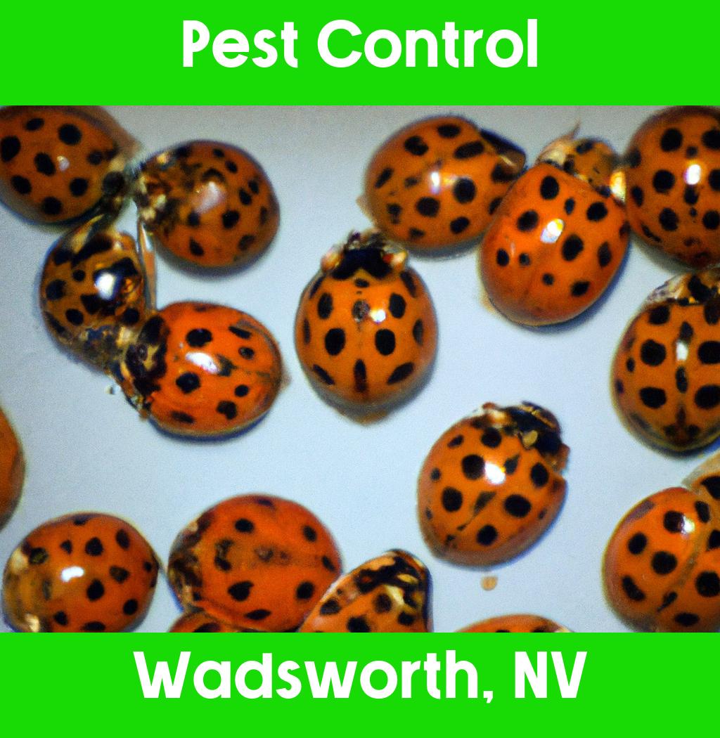 pest control in Wadsworth Nevada
