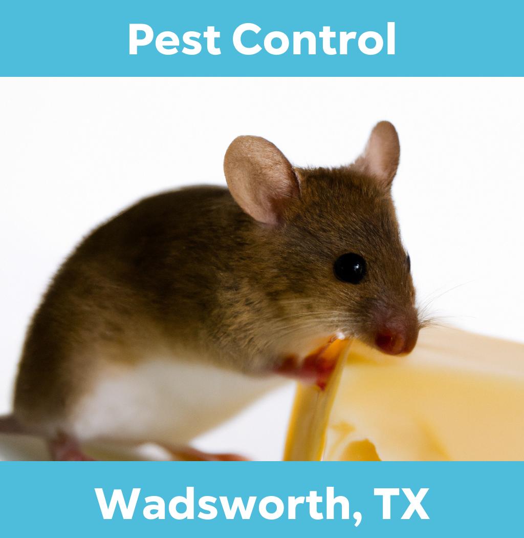 pest control in Wadsworth Texas