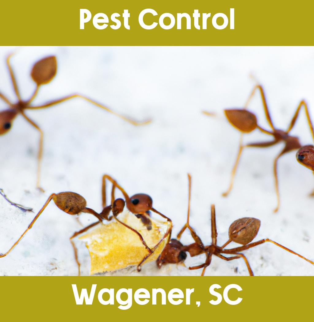 pest control in Wagener South Carolina