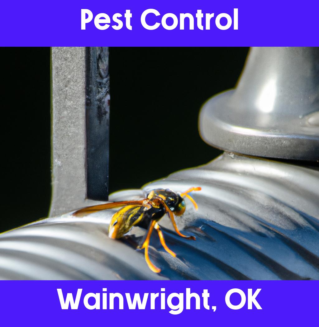 pest control in Wainwright Oklahoma