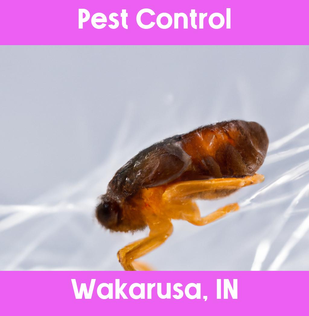 pest control in Wakarusa Indiana