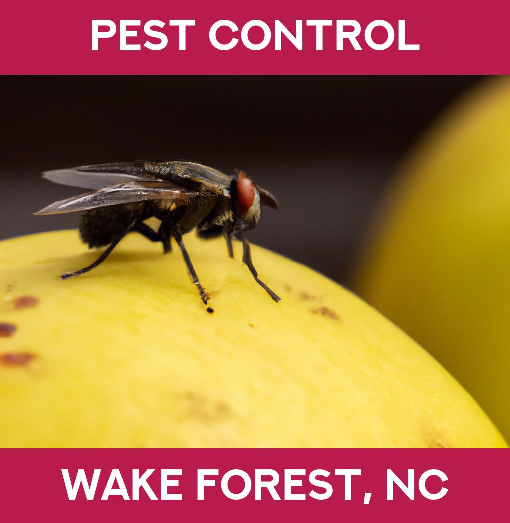 pest control in Wake Forest North Carolina