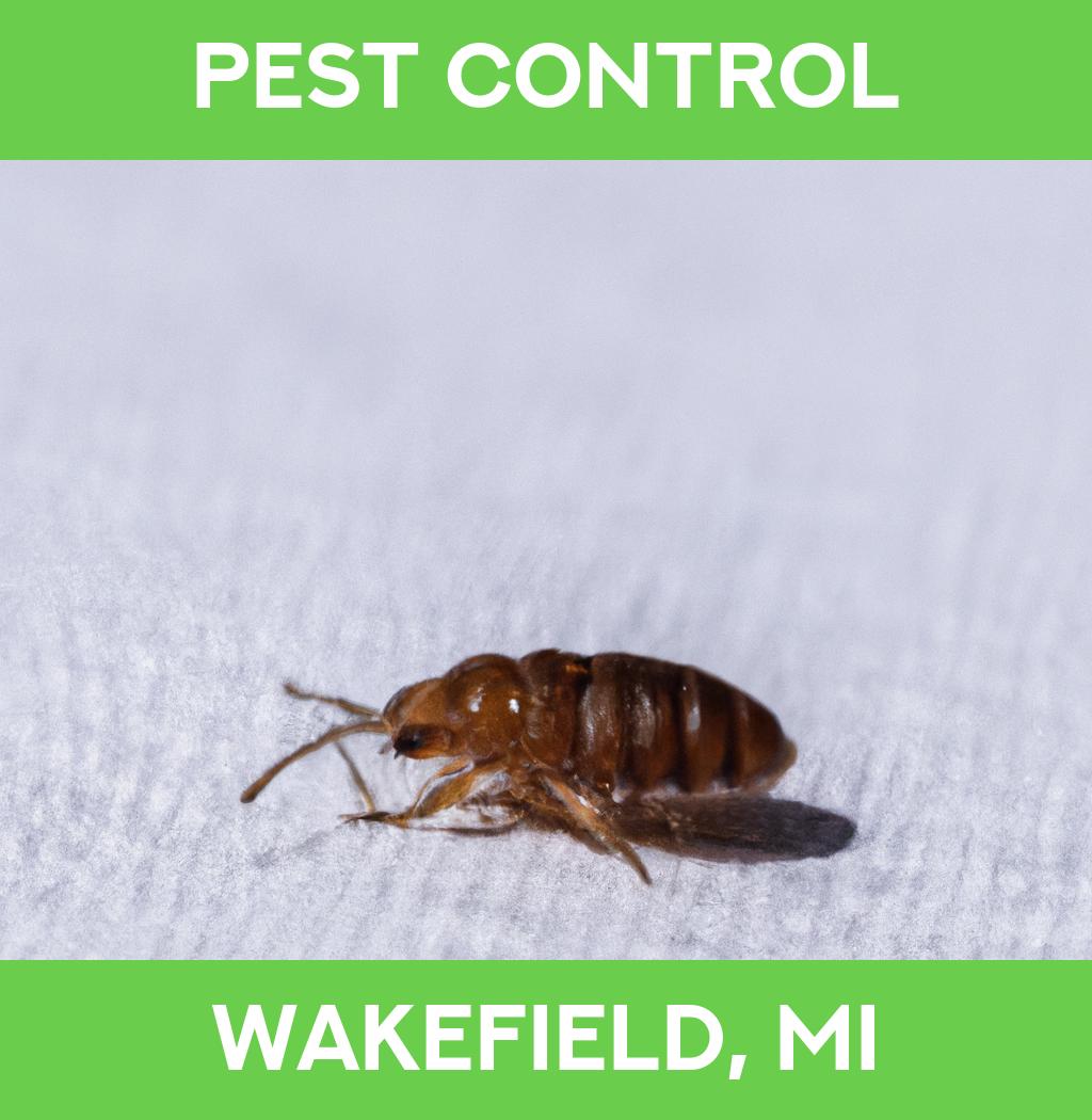 pest control in Wakefield Michigan