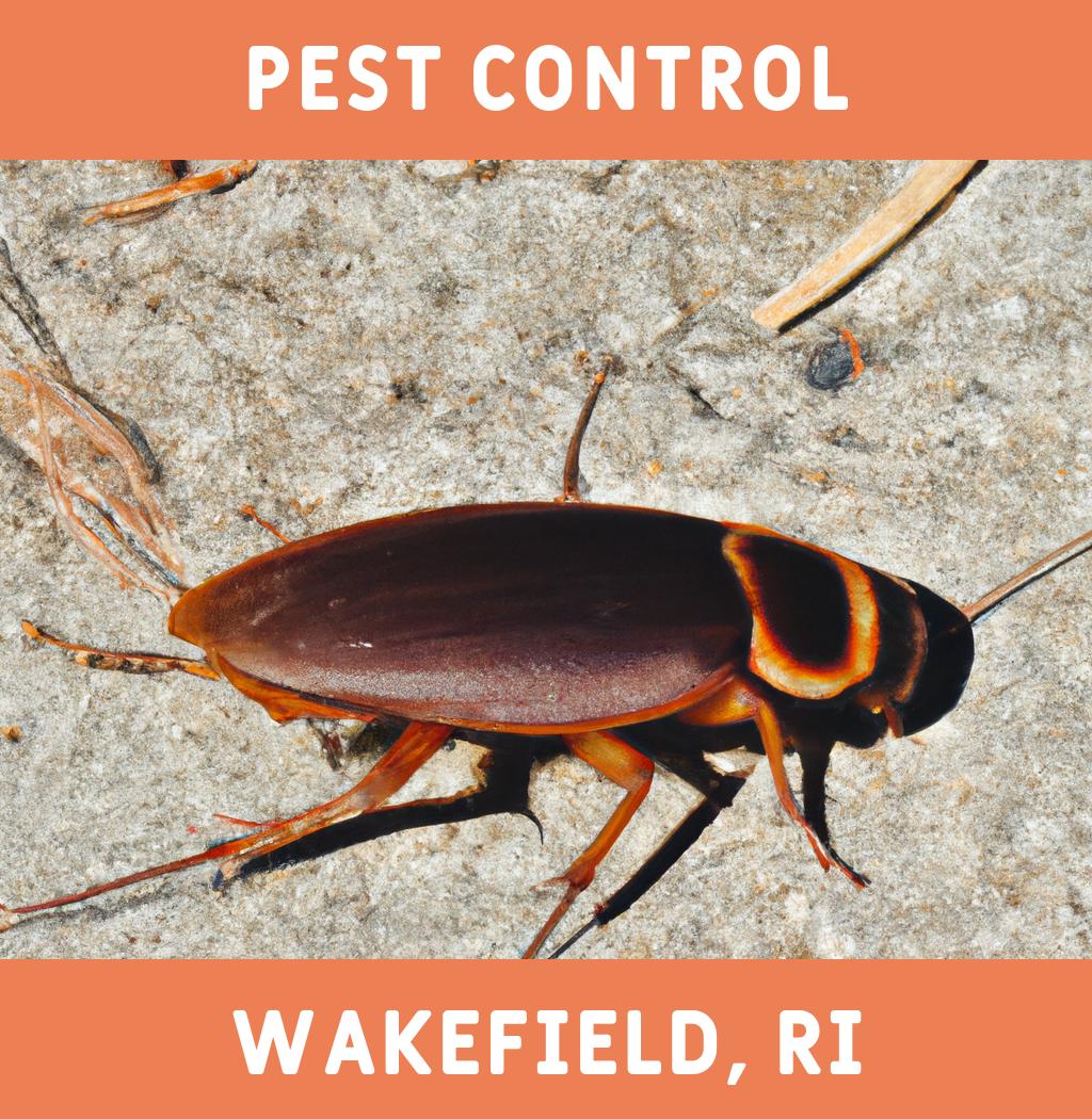 pest control in Wakefield Rhode Island