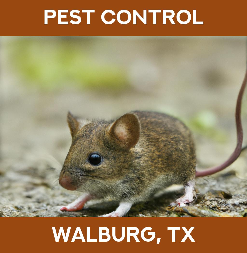 pest control in Walburg Texas