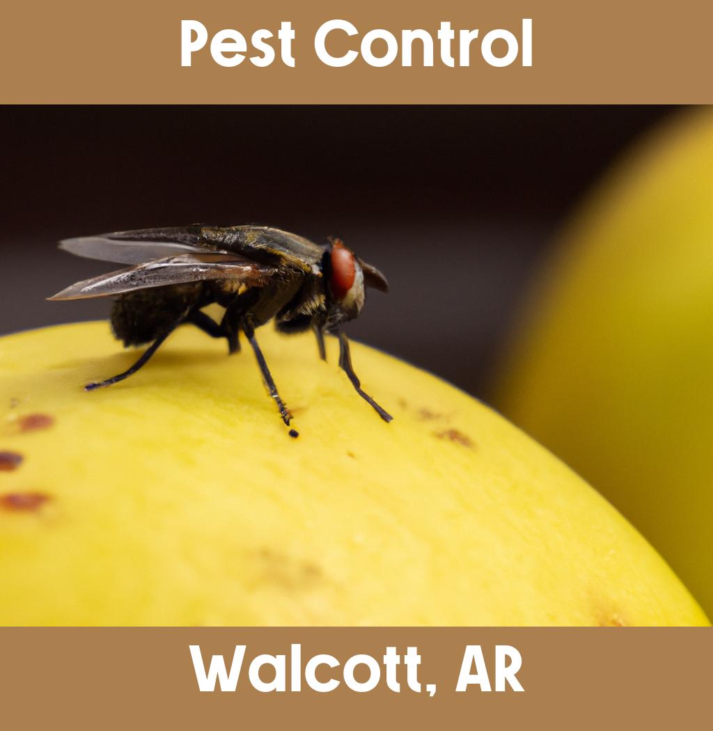 pest control in Walcott Arkansas